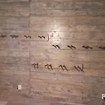 Zlata Leta - Apartmanovy Dum