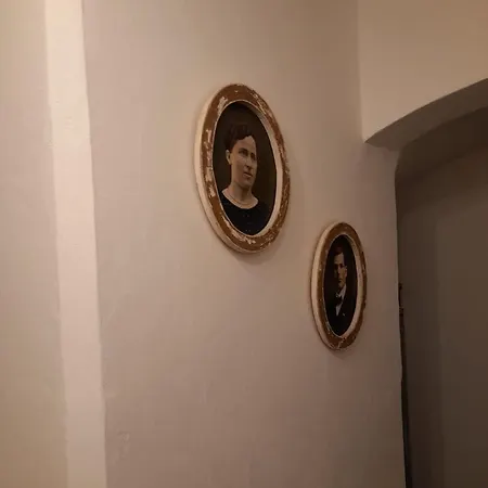 Daire Zlata Leta - Apartmanovy Dum *